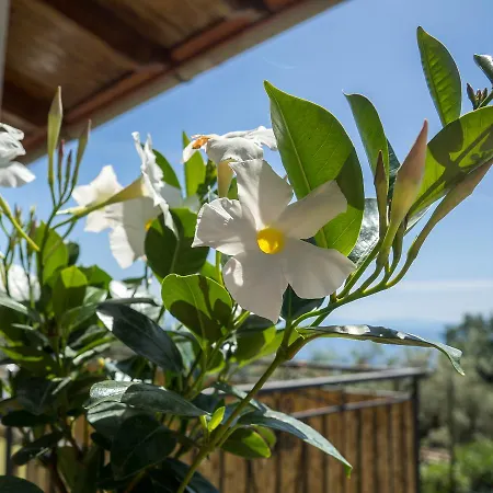 Casa vacanze Casa Il Negrito Massa Lubrense