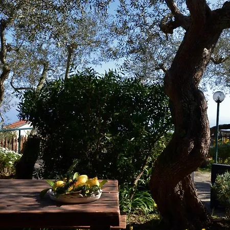 Casa Il Negrito